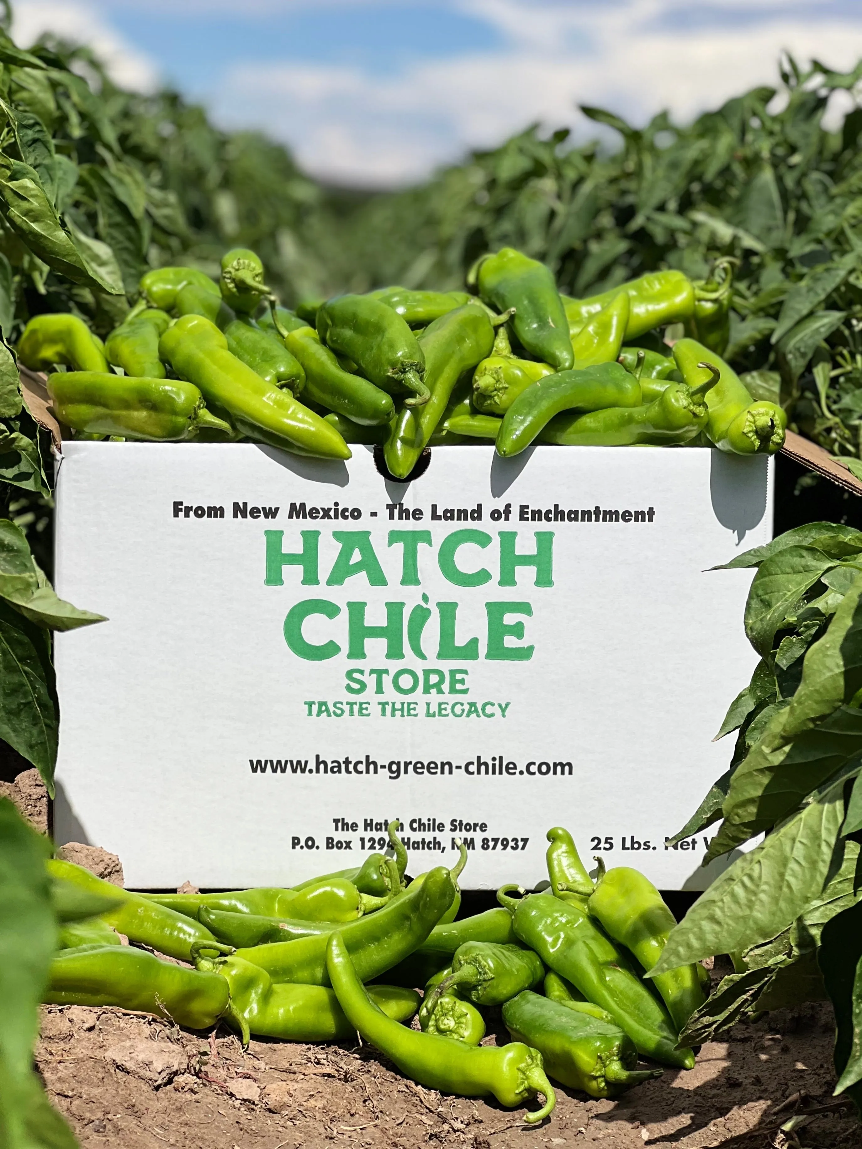 Fresh Hatch Green Chile