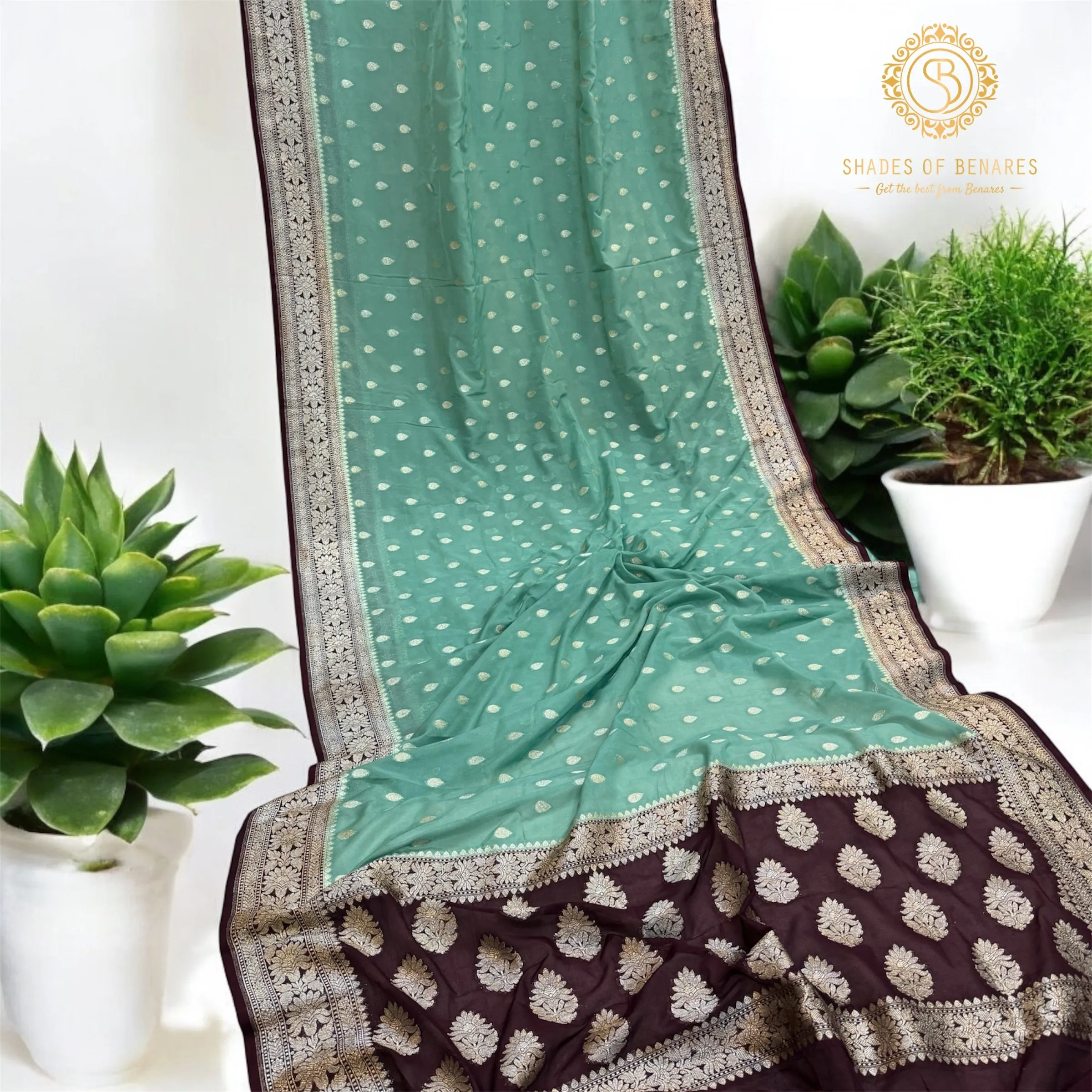 Serene Sophistication: The Sea Green & Brown Pure Chiffon Georgette Banarasi Saree